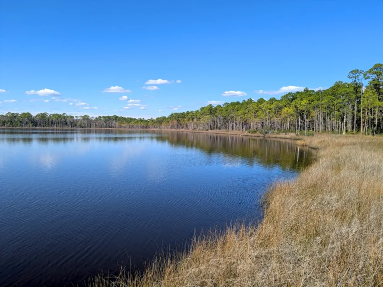 Counsel for Young Christian Men